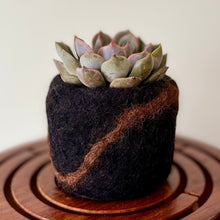 Load image into Gallery viewer, Felt Pods