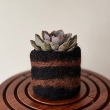 Load image into Gallery viewer, Felt Pods