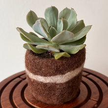 Load image into Gallery viewer, Felt Pods