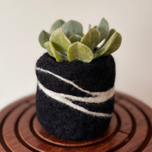 Load image into Gallery viewer, Felt Pods