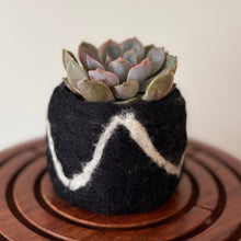 Load image into Gallery viewer, Felt Pods